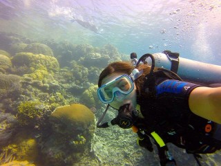 Diving the Great Barrier Reef