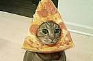 Pizza Cat