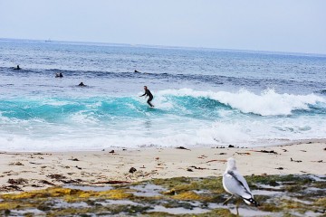 Windansea