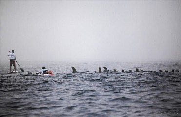 Loving the ocean